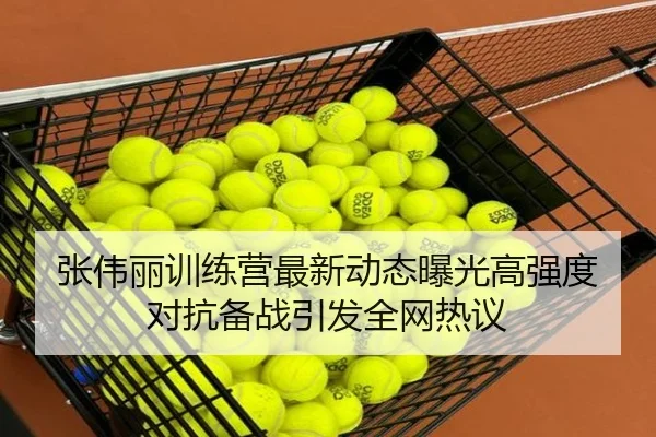 张伟丽训练营最新动态曝光高强度对抗备战引发全网热议